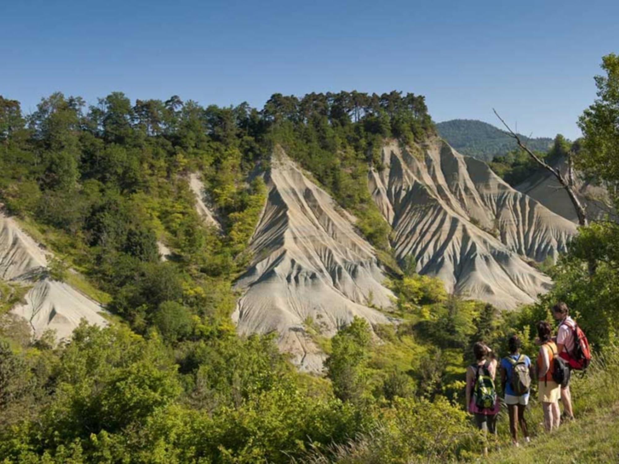 L'Oree Du Pichier Boisset  Ruang foto